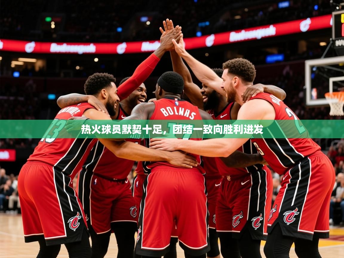 2025九游娱乐(中国)官方网站热火球员默契十足,团结一致向胜利进发 第1张